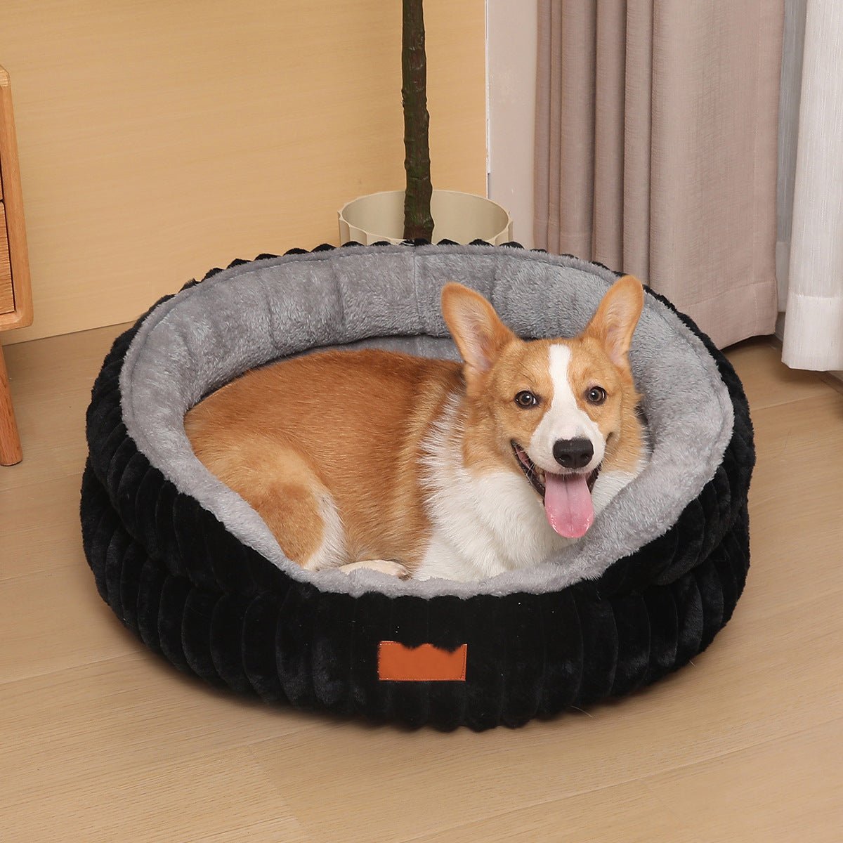 toutou dans panier chien  orthopédique  moelleux en peluche noir