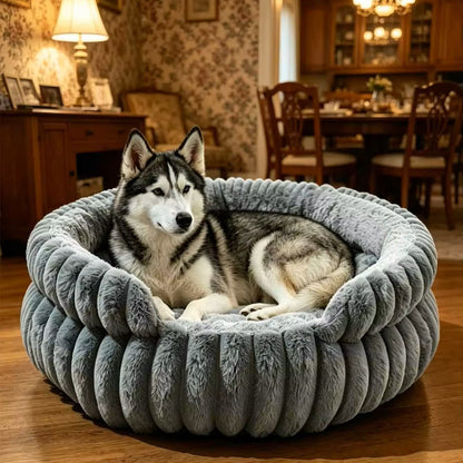 toutou dans panier orthopédique pour chien Rond Moelleux