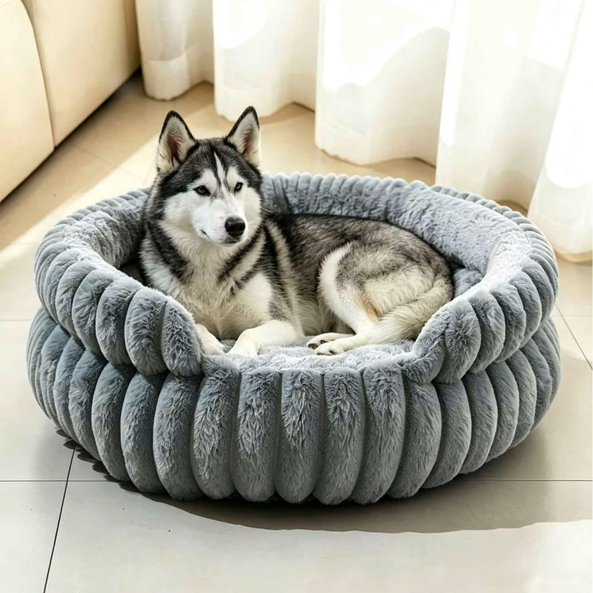 toutou dans panier orthopédique pour chien avec Rebord surélevé