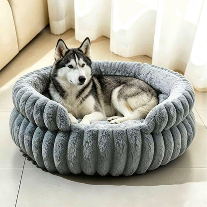 toutou dans panier orthopédique pour chien avec Rebord surélevé