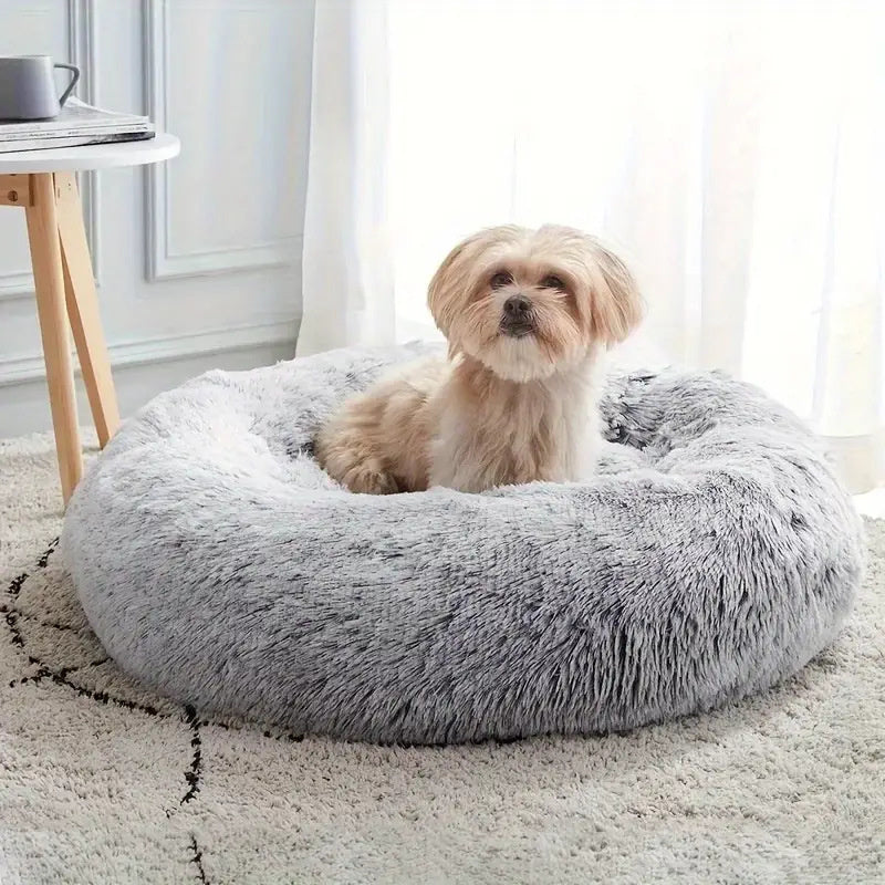toutou dans panier pour chien lavable
