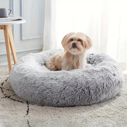 toutou dans panier pour chien lavable