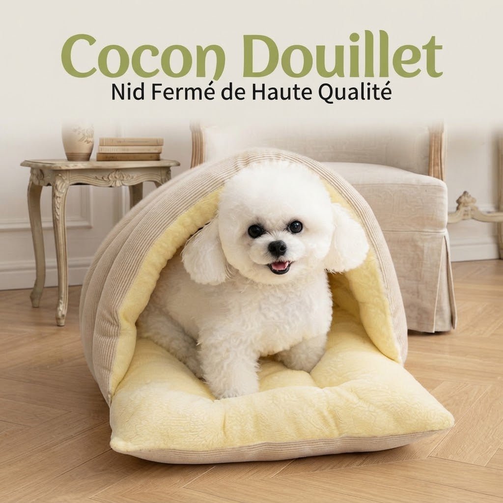 toutou_dans_panier_pour_petit_chien_chaud