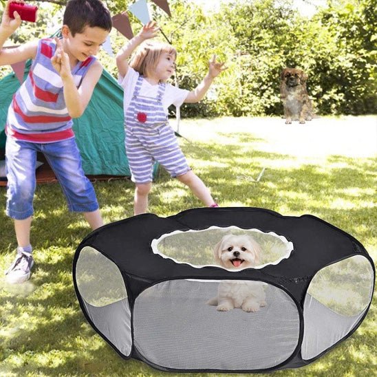 toutou  dans parc pour chien les enfants jeu a cote