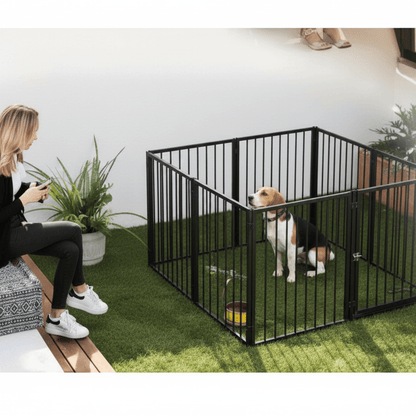 toutou dans parc pour chien pliable