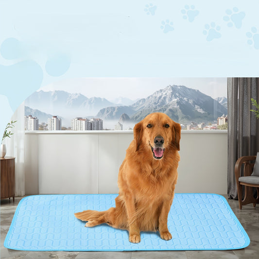 toutou dans tapis réfrigérant pour chien glace été