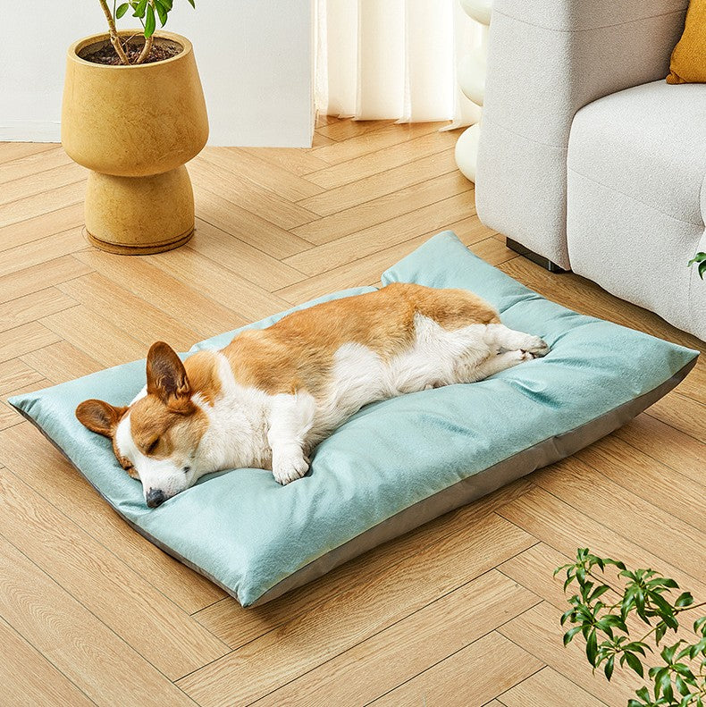 toutou dans_ tapis rafraichissant chien en double surface bleu