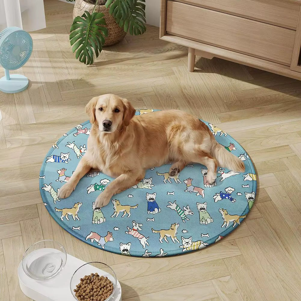 toutou dans tapis rafraichissant chien grand taille imperméable