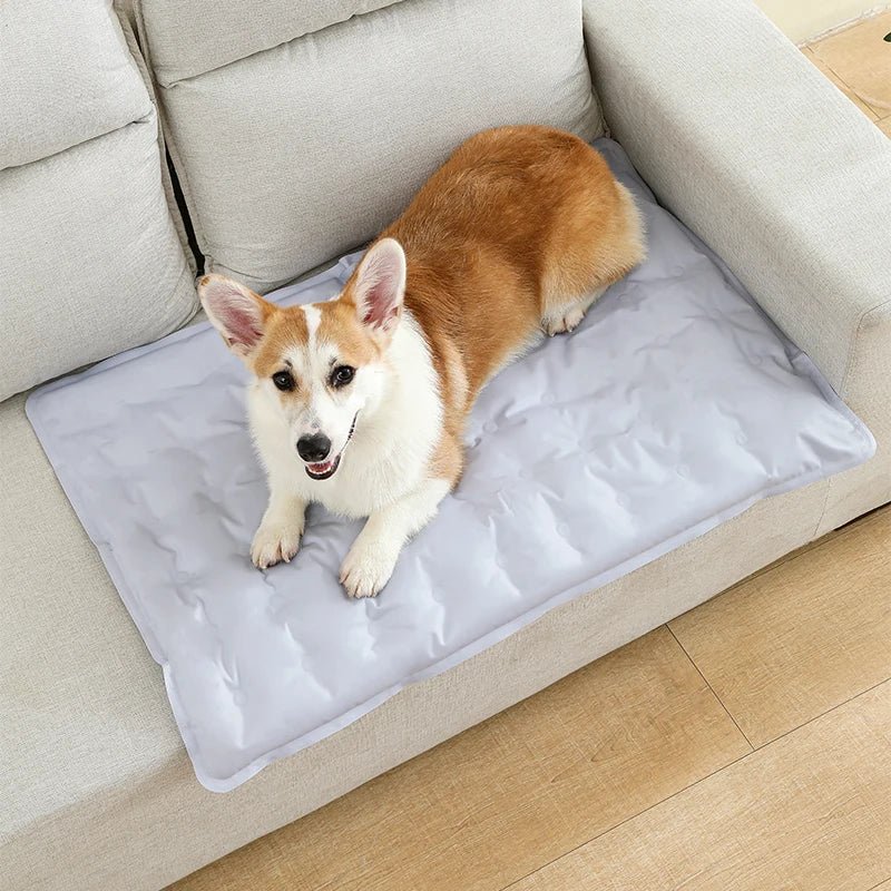 toutou dans tapis rafraichissant chien lavable