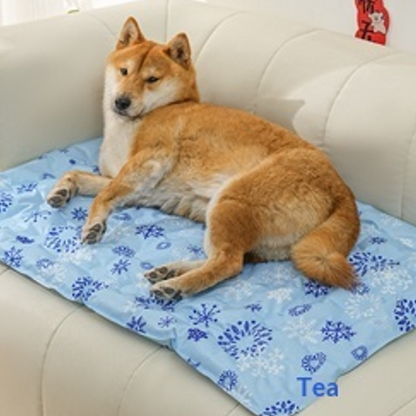 toutou dans tapis rafraichissant chien sur le canape
