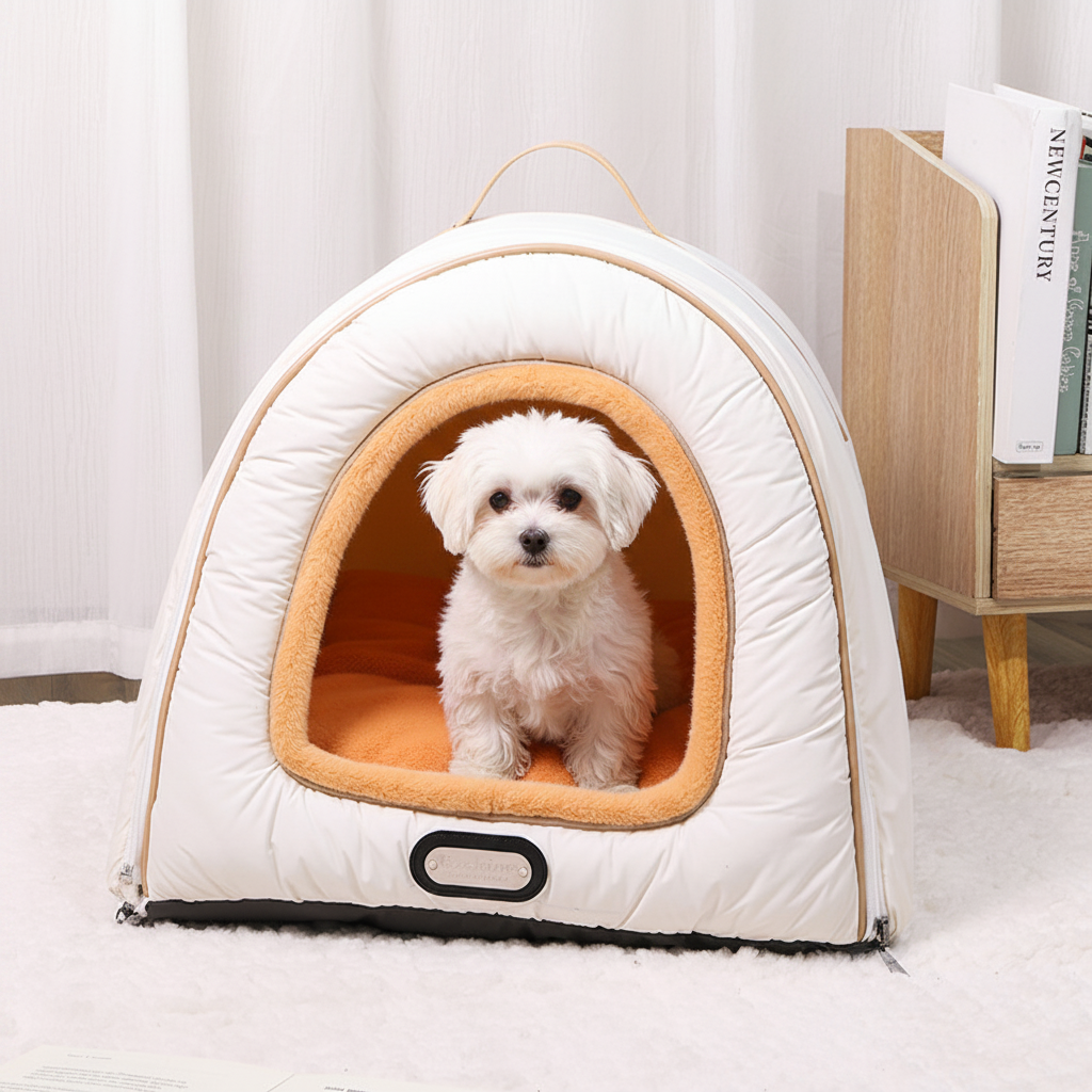 toutou dans toit pour niche chien imperméable