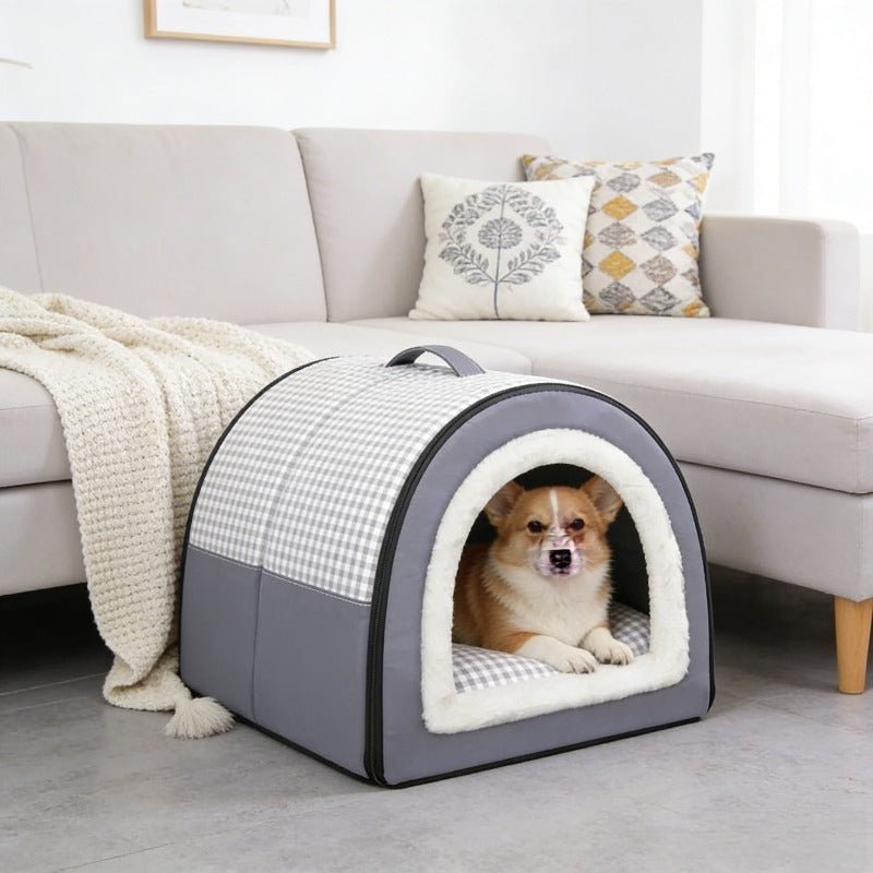 toutou dans toit pour niche  chien dans salon