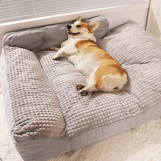 toutou détendu dans canape chien xxl en velours