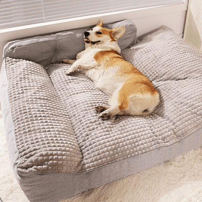 toutou détendu dans canape chien xxl en velours