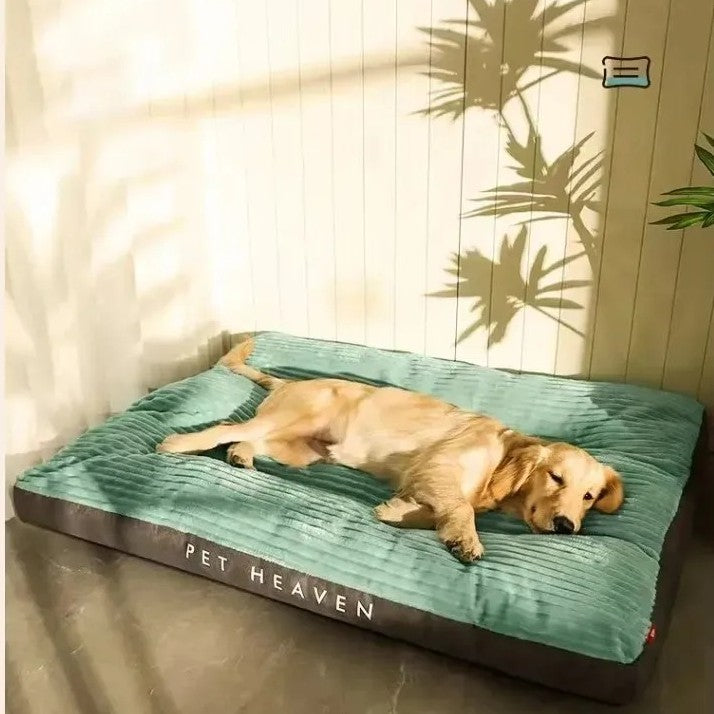 toutou détendu dans le grand lit pour chien lavable