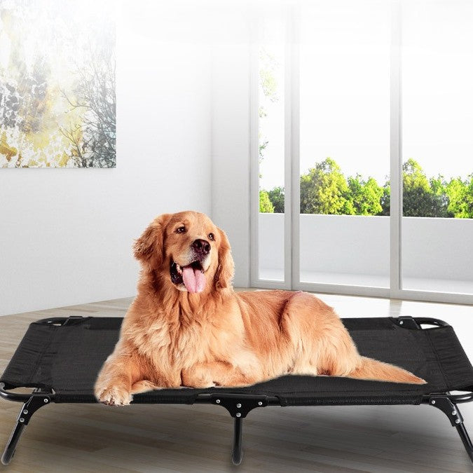 toutou détendu dans lit de camp pliable pour chien