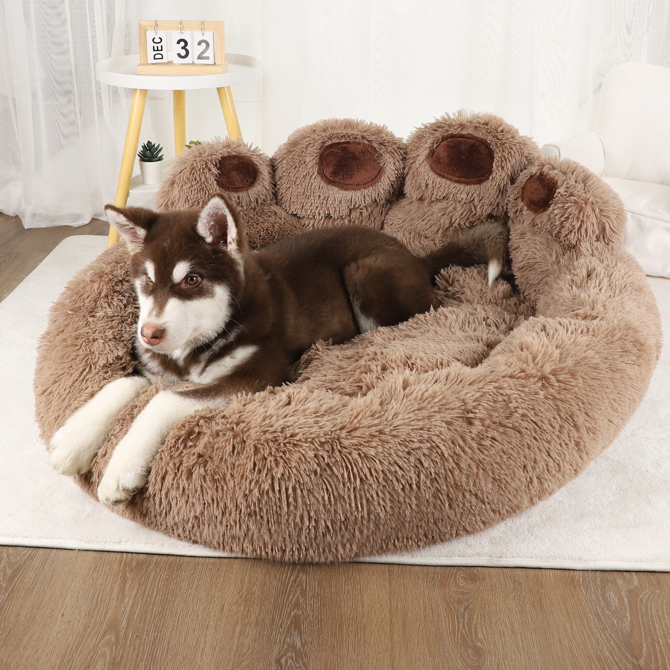 toutou détendu dans lit pour chien café