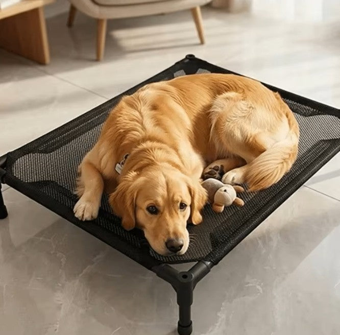 toutou détendu dans lit pour chien surélevé