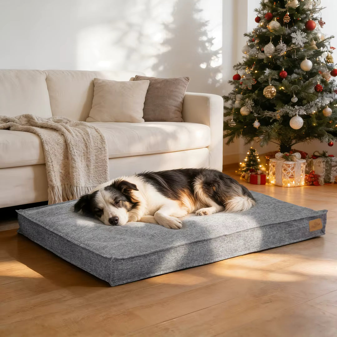 toutou detendu sur canape pour chien xxl gris