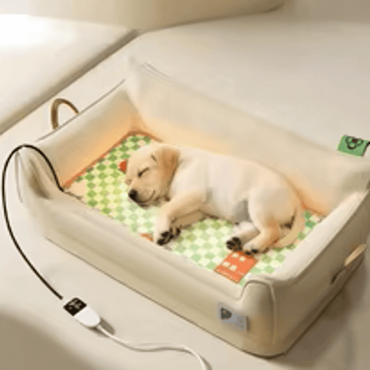 toutou dort canapé orthopédique chien chauffant électrique