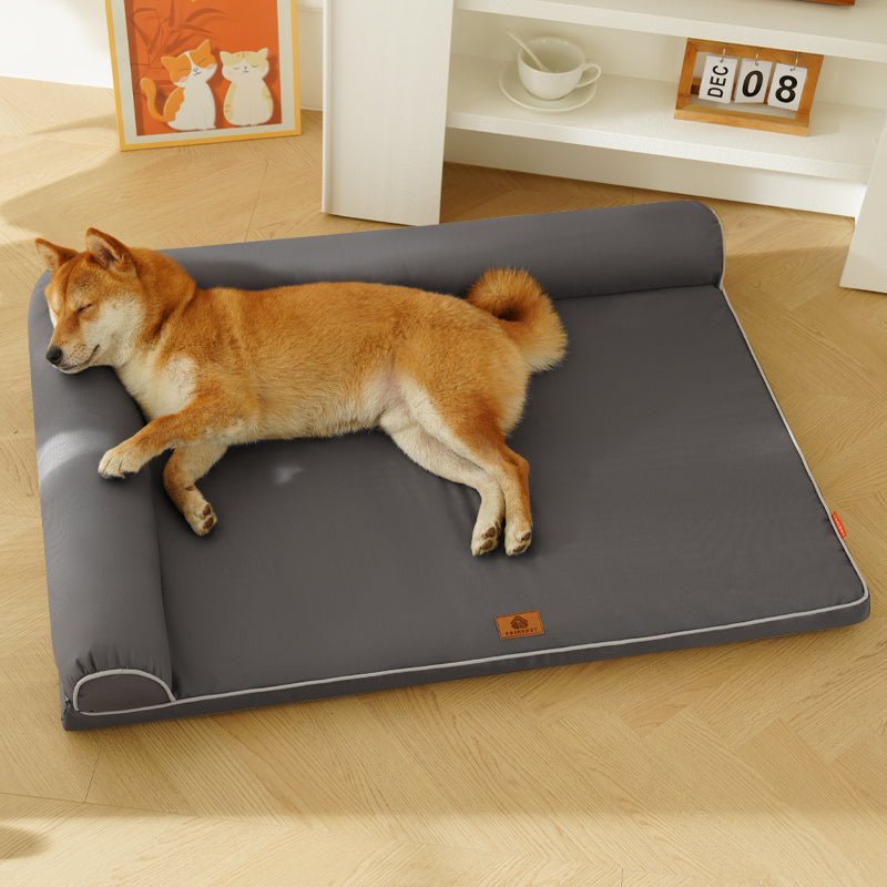 toutou dort dans canapé lit pour grand chien gris