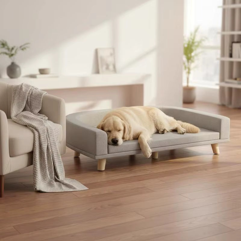 toutou dort dans canape lit chien XXL lavable