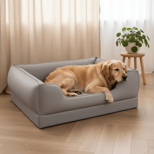 toutou dort dans canape orthopédique gris pour chien