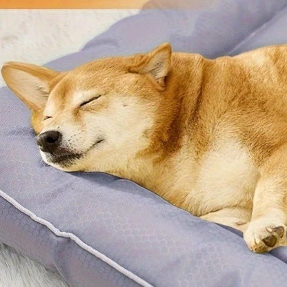 toutou dort dans couchage pour chien xxl confortable