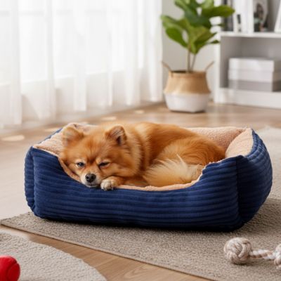 toutou dort dans coussin chien tissu côtelé bleu