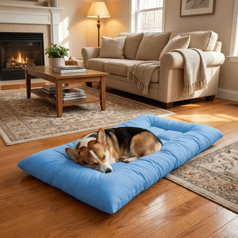 toutou dort dans coussin pour chien xxl dans la maison
