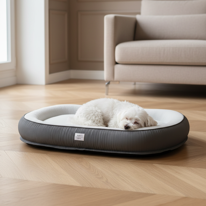 toutou dort dans coussins pour chien déhoussable