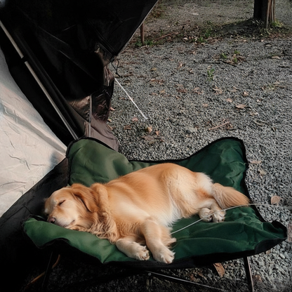 toutou dort dans lit de camp chien