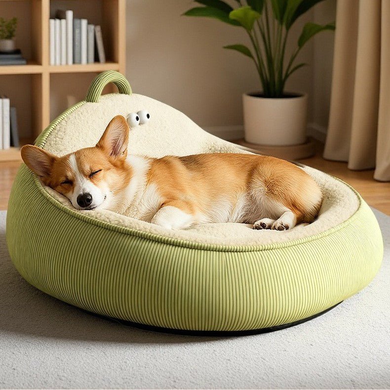 toutou dort dans lit douillet pour chien molletonner 