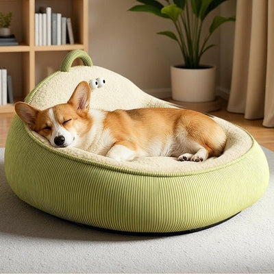toutou dort dans lit douillet pour chien molletonner 