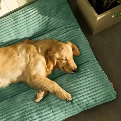 toutou dort dans lit pour chien en velours