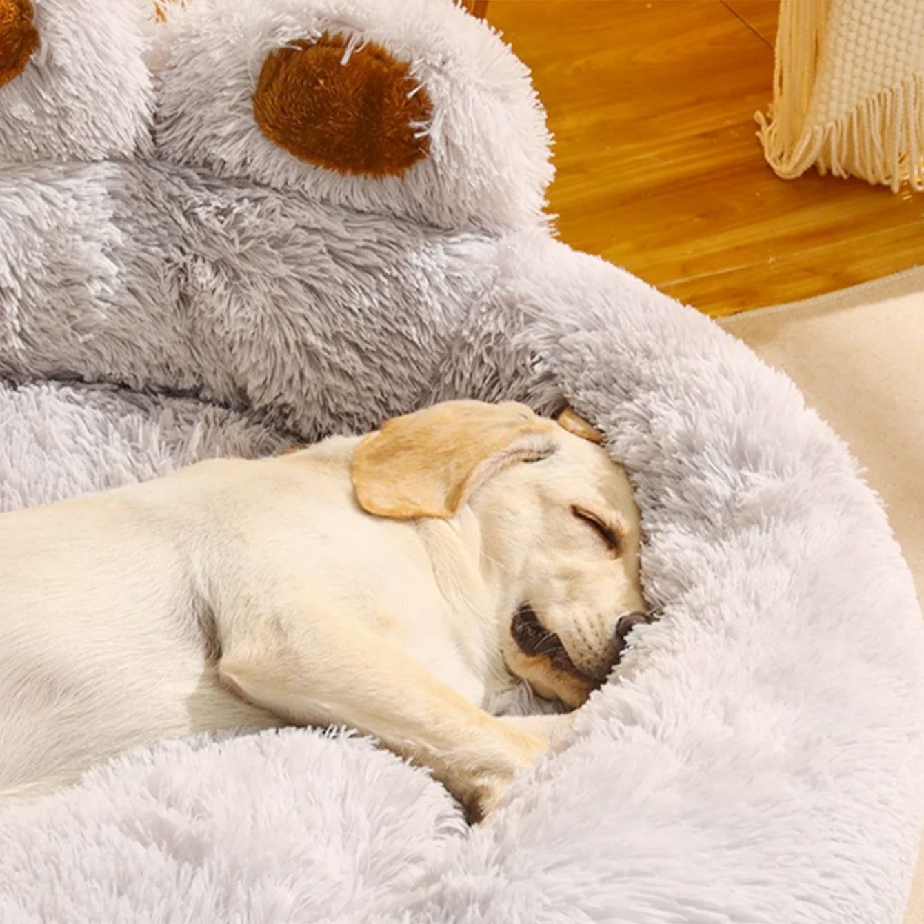 toutou dort dans lit pour chien lavable 