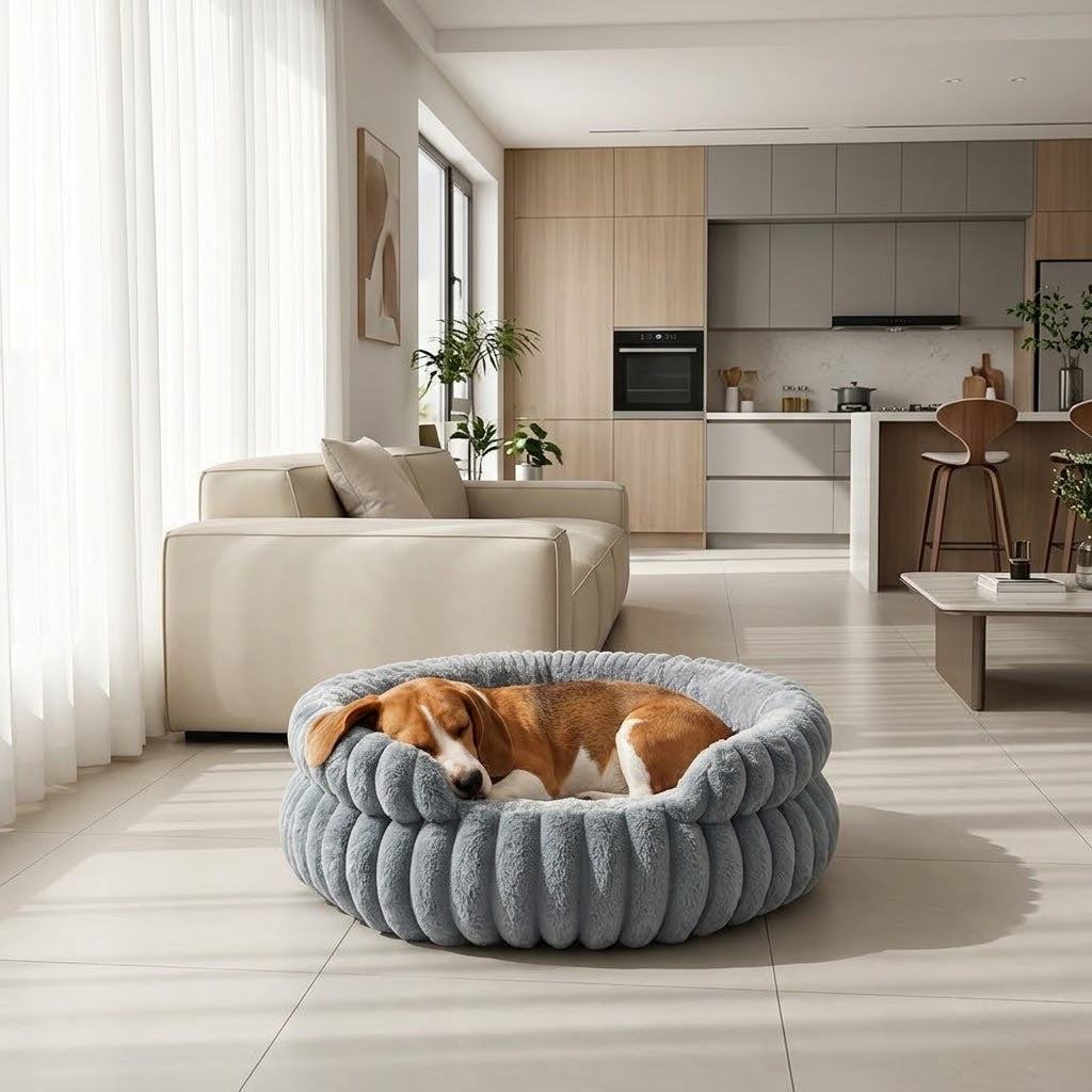 toutou dort dans panier orthopédique pour chien rond doux