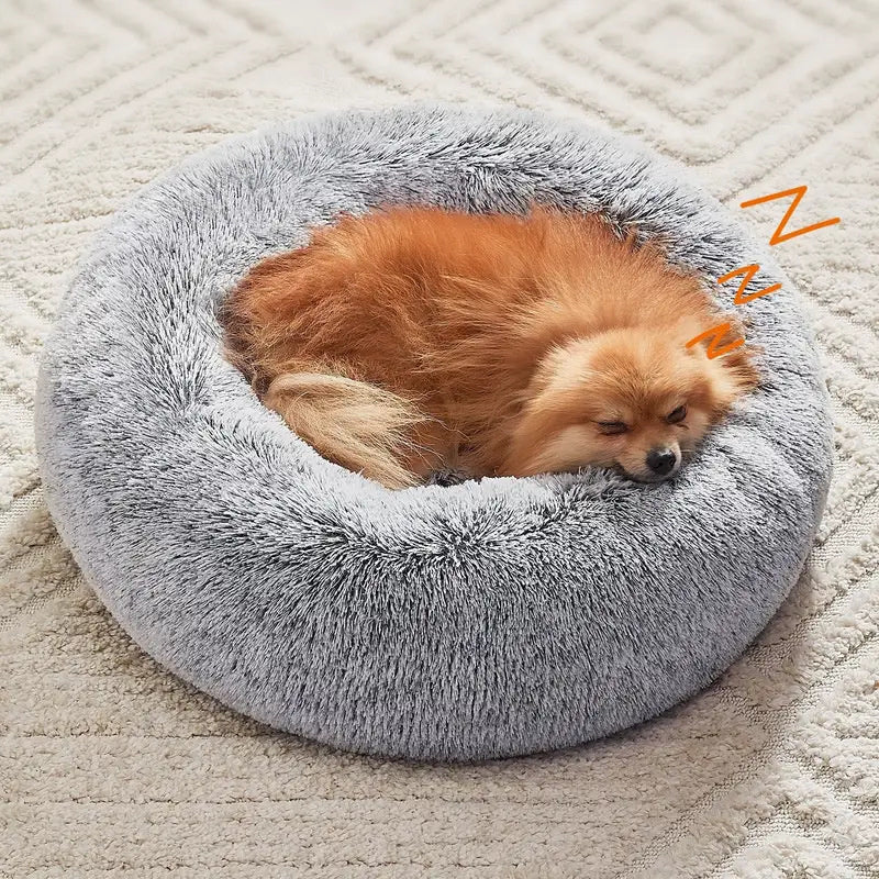 toutou dort dans panier pour chien en fourreur