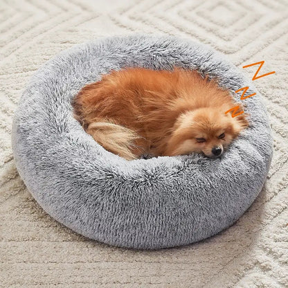 toutou dort dans panier pour chien en fourreur