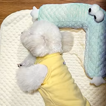 toutou dort dans tapis orthopédique pour chien moelleux