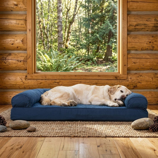 toutou dort dans xxl canape pour chien avec accoudoir