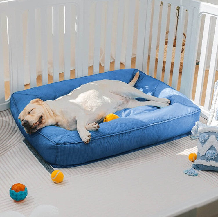 toutou dort paisiblement dans lit pour chien 