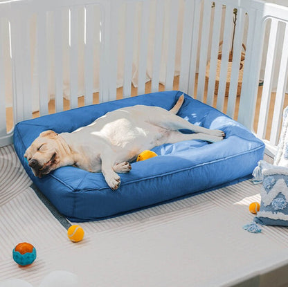toutou dort paisiblement dans lit pour chien 