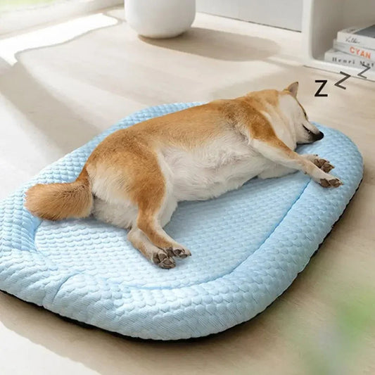 toutou dort profondément sur coussin rafraichissant chien 
