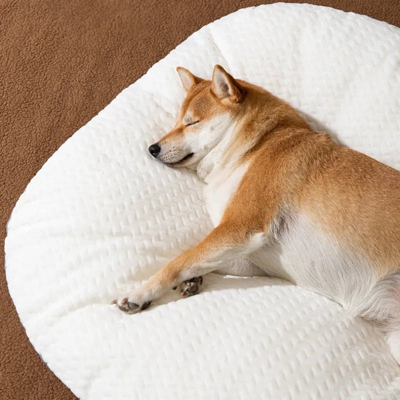 toutou dort profondément dans matelas déhoussable pour chien