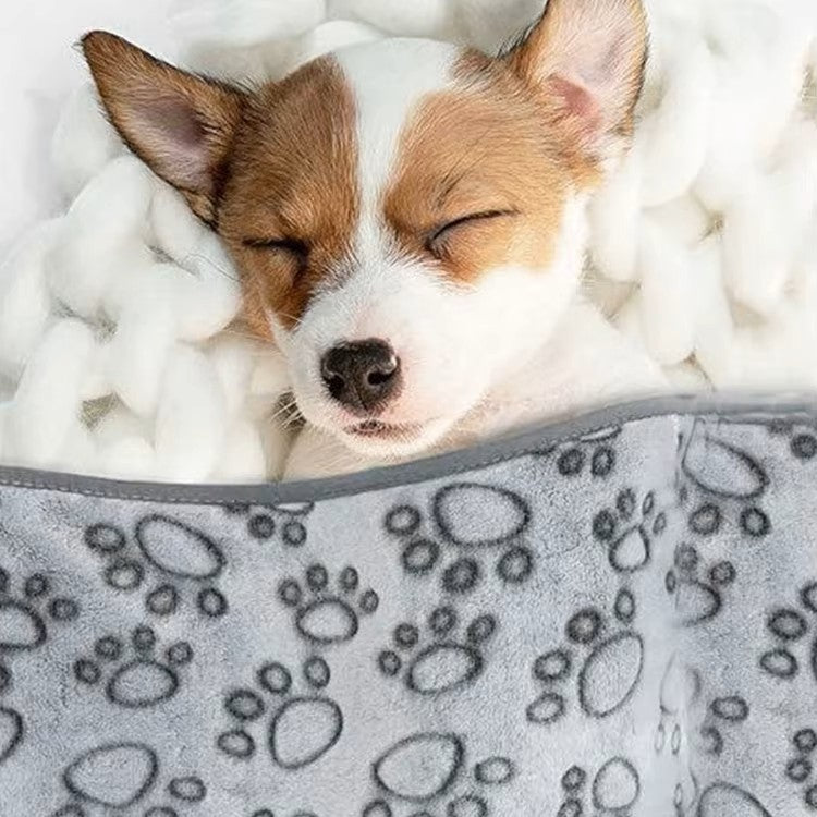 toutou dort sous couverture pour chien chaud 