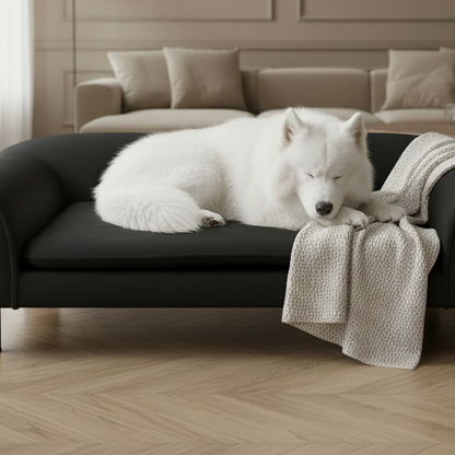 toutou dort sur canape luxe pour chien surélevé