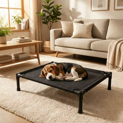 toutou dort sur lit pour chien surélevé