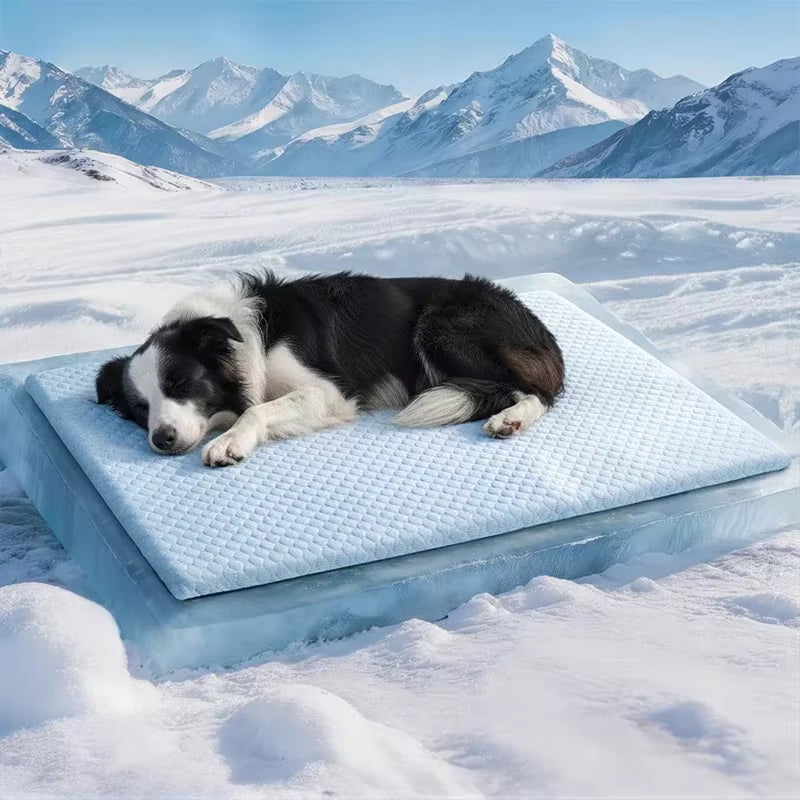 toutou dort sur tapis rafraichissant chien grand taille en soie glacée