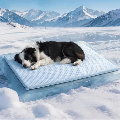 toutou dort sur tapis rafraichissant chien grand taille en soie glacée